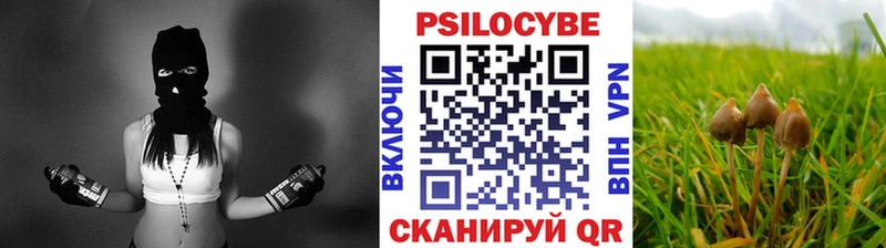 закладка  Фатеж  Псилоцибиновые грибы ЛСД 